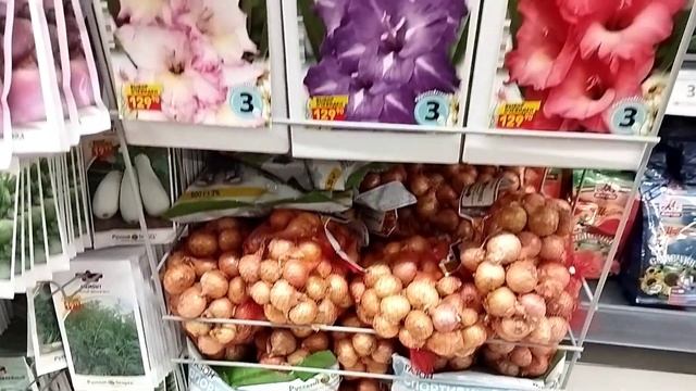 Дикси. Гладиолусы, лилии, ирисы, семена, весна 2023 смотреть онлайн