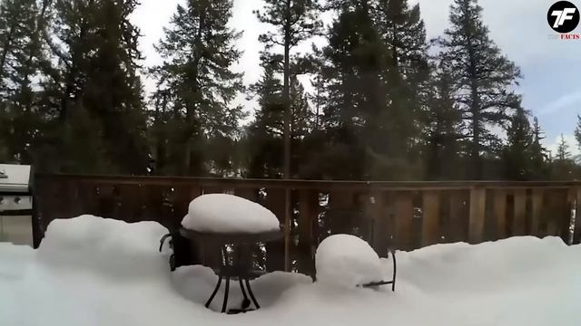 ЧТО ТУТ ПРОИСХОДИТ?! На Скрытую Камеру Попало ТАКОЕ, Что Нужно Обязательно Увидеть! #4 смотреть онлайн