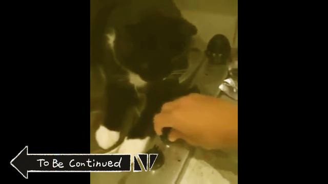Продолжение Следует#To Be Continued 1 смотреть онлайн