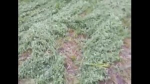 Самодельная самоходная бензокоса