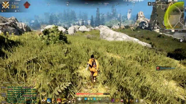 SHADOW ARENA КОРОЛЕВСКАЯ БИТВА ОТ РАЗРАБОТЧИКОВ BDO смотреть онлайн