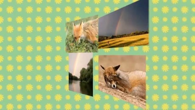 Детская сказка "Сказка о лисичке и радуге",развивающие сказки, истории для маленьких смотреть онлайн