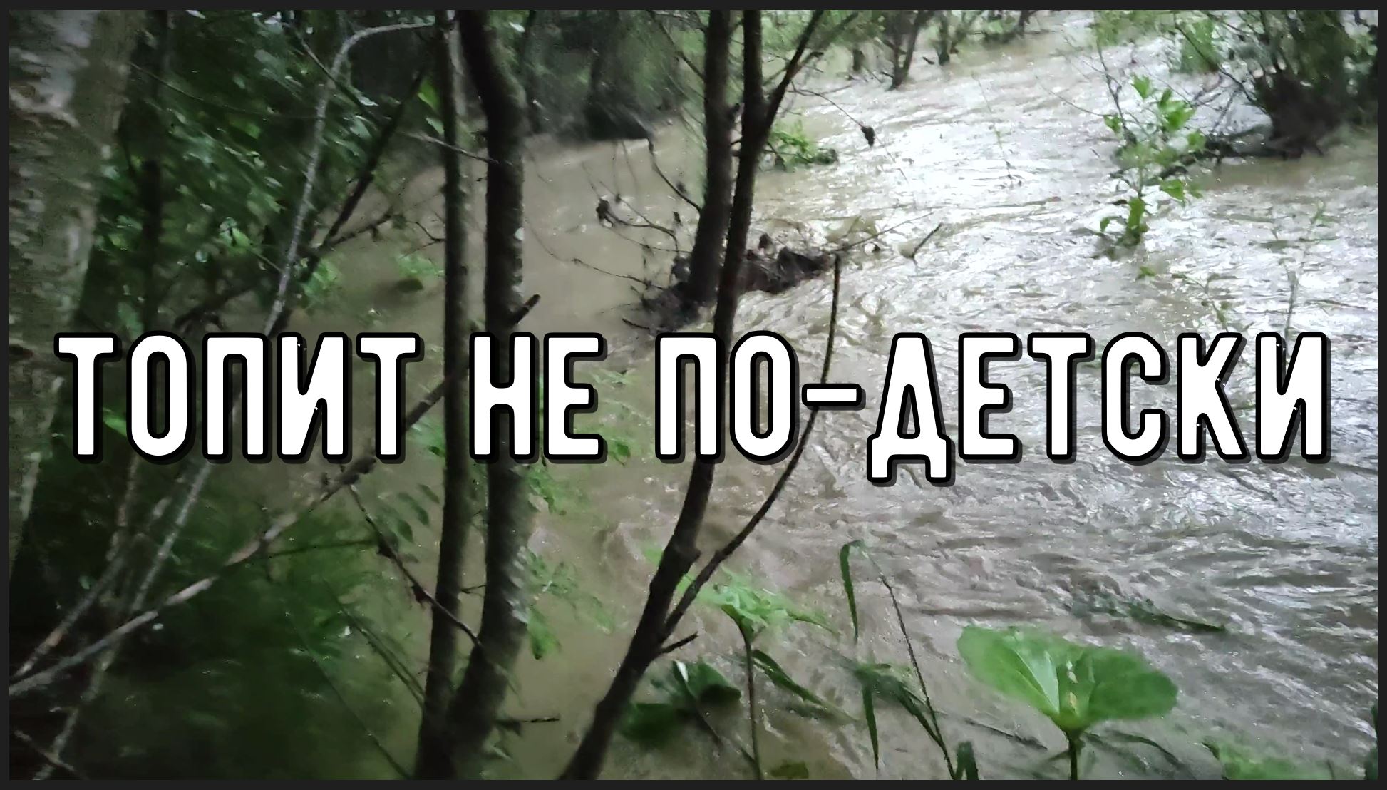 Река вышла из берегов