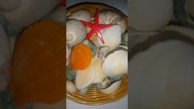 Sait Faik Abasıyanık- Kırmızı Yeşil Şiiri смотреть онлайн