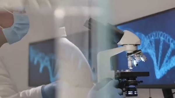 смарт люкс, новый эксклюзивный продукт от компании глобал тренд