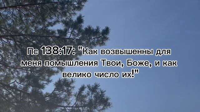 Благочестия тайна смотреть онлайн