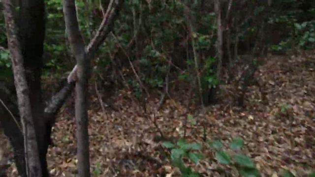 Субботник в мечети смотреть онлайн