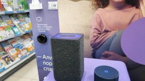 Яндекс алиса говорит отсутствует подключение к интернету