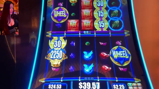 The DRAGON slots are addicted to Honey!😍🐉✨