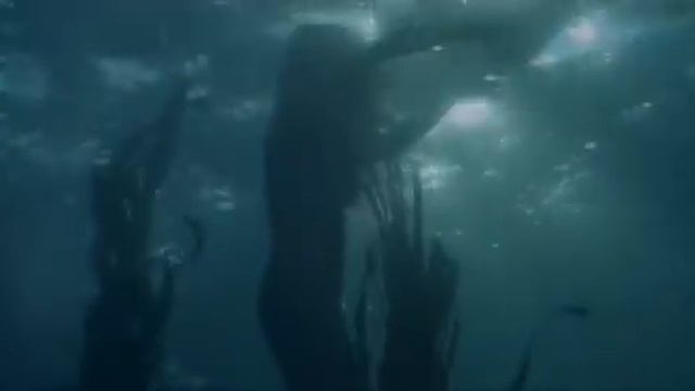 Hugo Montenegro - The Shark смотреть онлайн