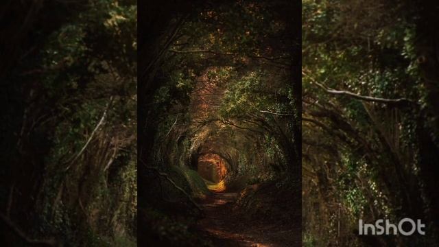 Релакс музыка смотреть онлайн