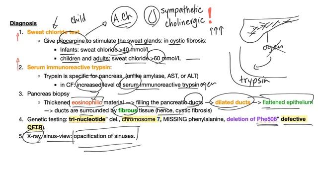 Cystic Fibrosis - Diagnosis & Treatment - Genetics смотреть онлайн