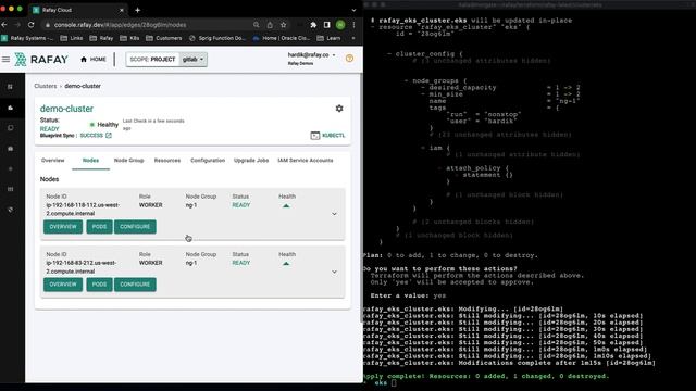 EKS Lifecycle using Rafay Terraform Provider смотреть онлайн