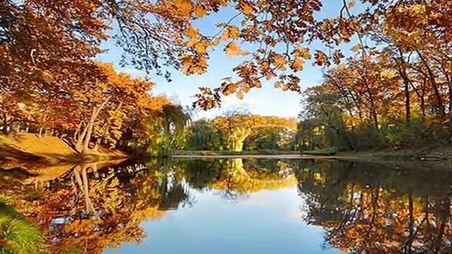 Осенние мотивы.wmv смотреть онлайн