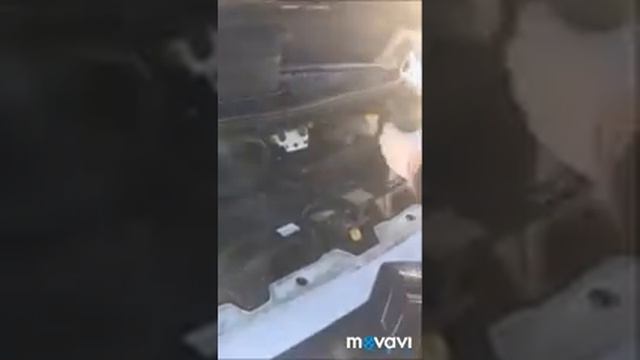 CITROEN JUMPER. Заливка Форум Синтетик в двигатель. смотреть онлайн