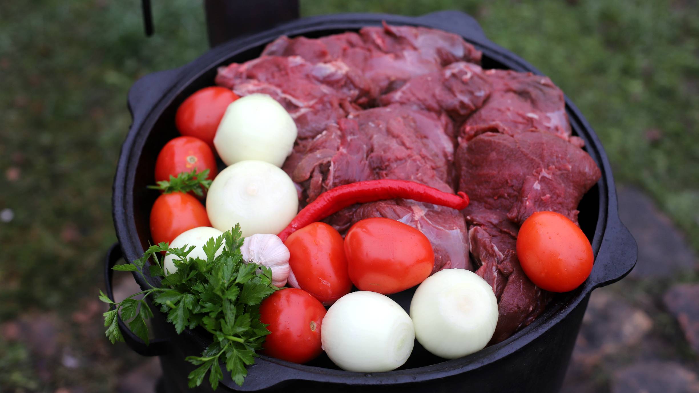 Мясо лося в казане на костре. Чашушули по-грузински. смотреть онлайн