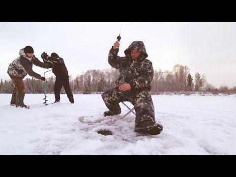 На реку за плотвой, мелочь но приятно!!!