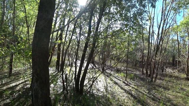 Изнуряющая двухдневная рыбалка без сна .В поисках хищной рыбы на спиннинг.Рыбалка в Нижнекамске 202 смотреть онлайн