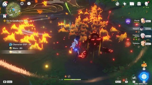 Lazy Guide to Fungi | Genshin Impact смотреть онлайн