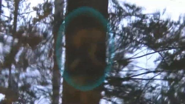 Травяная лягушка 1 Ноябрь смотреть онлайн