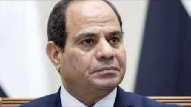 Сиси призвал мусульман не размножаться смотреть онлайн