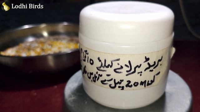 New Winter Breeding Feed | Save From Cold | Java, Finches, Dove & Budgies | Urdu/Hindi | Lodhi Bird смотреть онлайн