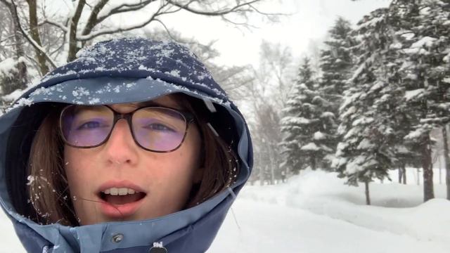 I've arrived in a snowstorm! Hokkaido #1 смотреть онлайн