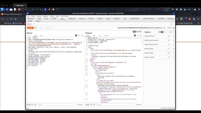 PORTSWIGGER WEB SECURITY ACADEMY SQL Injection - Lab #14 смотреть онлайн