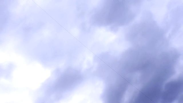 Ястреб и Коршун не дают покоя голубям. смотреть онлайн