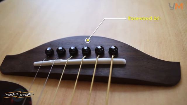 Yamaha FG800 Best Beginners Acoustic Guitar? смотреть онлайн