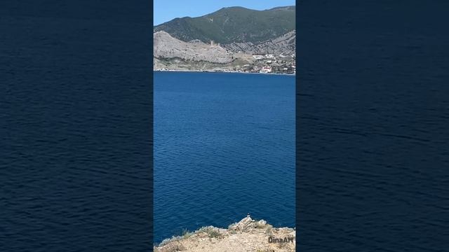 Разговорчивая птичка. Крым. Судак #shorts #крым2022 #крым #птицы #птица #природа #bird #nature смотреть онлайн
