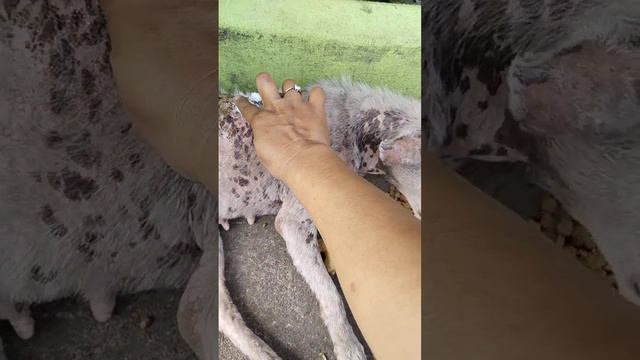 sana gumaling n sugat mo смотреть онлайн