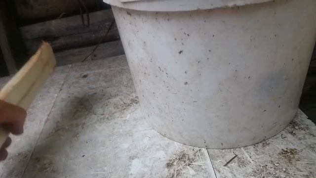 ЧТО БЫ КРОЛИКИ НЕ ГРЫЗЛИ КЛЕТКУ.... смотреть онлайн