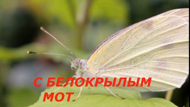С ПРАЗДНИКОМ СВЕТЛОЙ ПАСХИ! смотреть онлайн