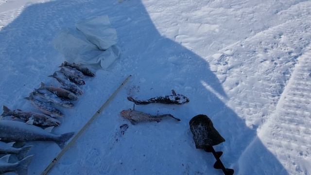 Про то как я рыбачил на Майниц смотреть онлайн