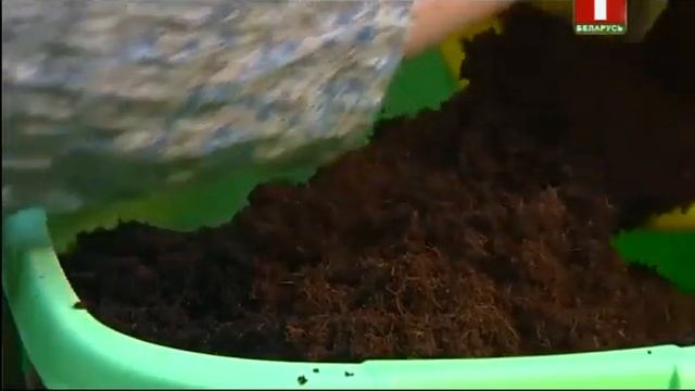 как готовить грунт для рассады смотреть онлайн