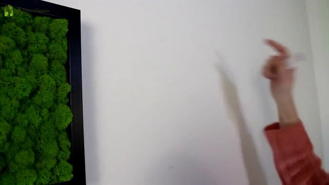 Как повесить фитокартину и не сверлить стену. смотреть онлайн