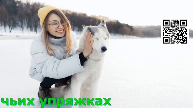 Туры на Байкал Новый год 2023 на льду Байкала смотреть онлайн