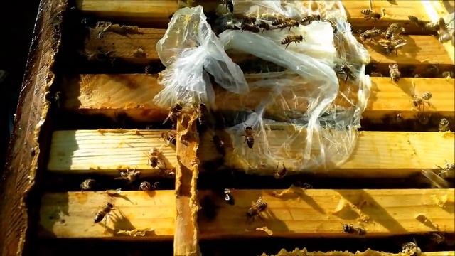 Пчеловодство Препарат КАС-81 Beekeeping Preparation CAS-81