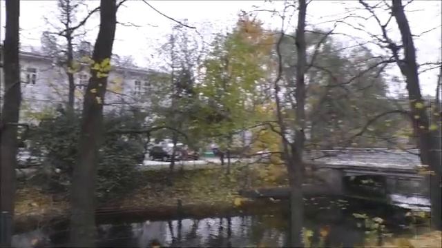 Петербург 2023. Снова на Елагином острове. Вторая прогулка. 31. 10. 23. смотреть онлайн