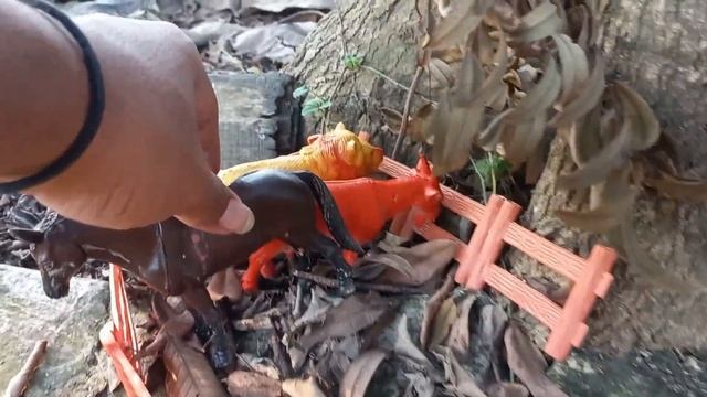 WOW, Shaking Truck Transporting Dirty Buffalo Cattle Dirty Cows Goats Elephant Lions - Oleng Trucks смотреть онлайн