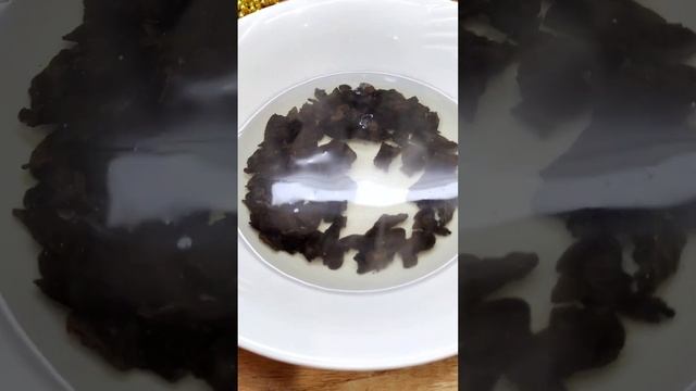 Лесные границы