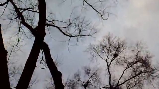 КРАСНОДАР ПАРК ГОРЬКОГО смотреть онлайн