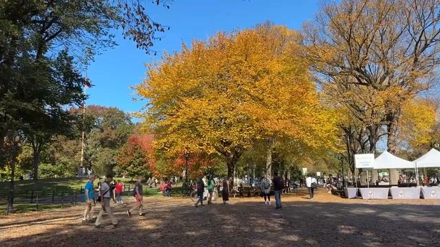 [4K]??NYC Autumn Walk??:Enjoy the fall foliage in Central Park on a sunny Saturday??Oct. 28, 2023 смотреть онлайн