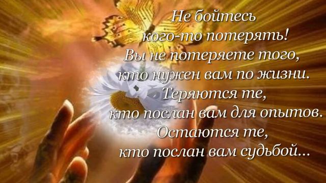 Мудрые мысли...ТАК ДУМАЮ Я И МОИ ДРУЗЬЯ... смотреть онлайн