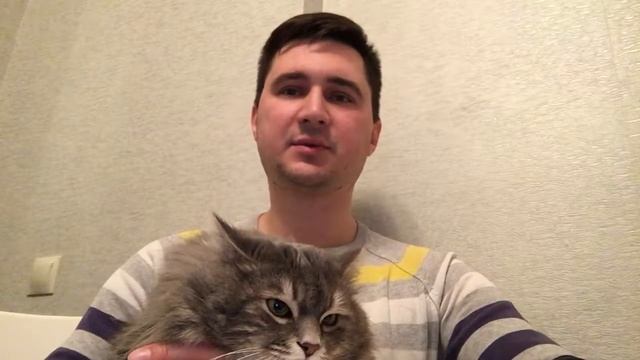 Задание БМ ЦЕХ - Видео 