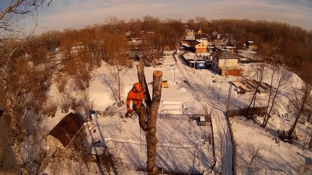 Спилить дерево по частям №4 УДАЛЕНИЕ ТОПОЛЯ #Арбористика [SamArbo] смотреть онлайн