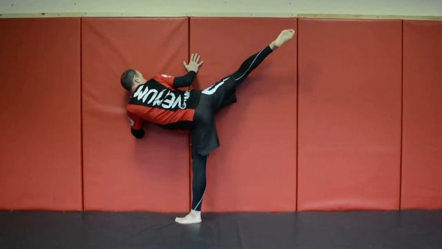 упражнения для укрепления ног в единоборствах смотреть онлайн