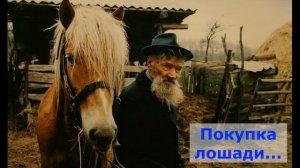 Зощенко - Беда. Краткое содержание.  Пересказ. 7 класс.