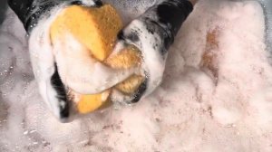 ASMR Sponges with Pine,Soap,Yellow and Purple Pine Gel🌲❤️💛💜🫧Pinho, Sabao,Pinho Gel Amarelo/Roxo